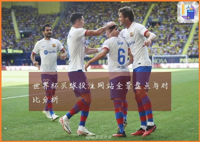 世界杯买球投注网站全景盘点与对比分析