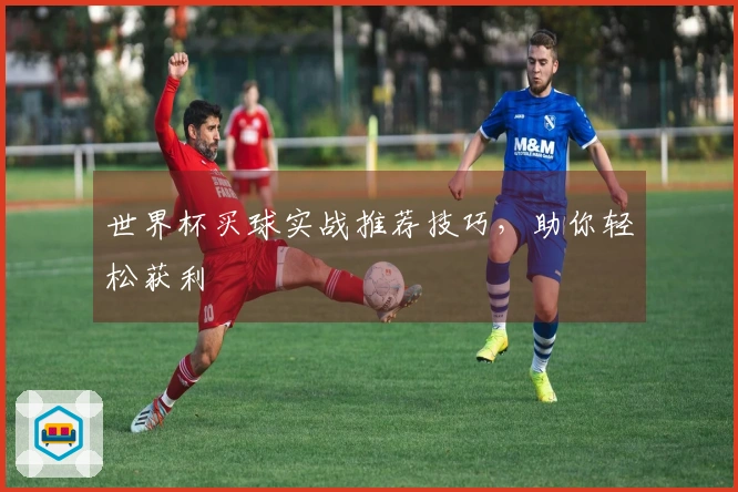 世界杯买球实战推荐技巧，助你轻松获利