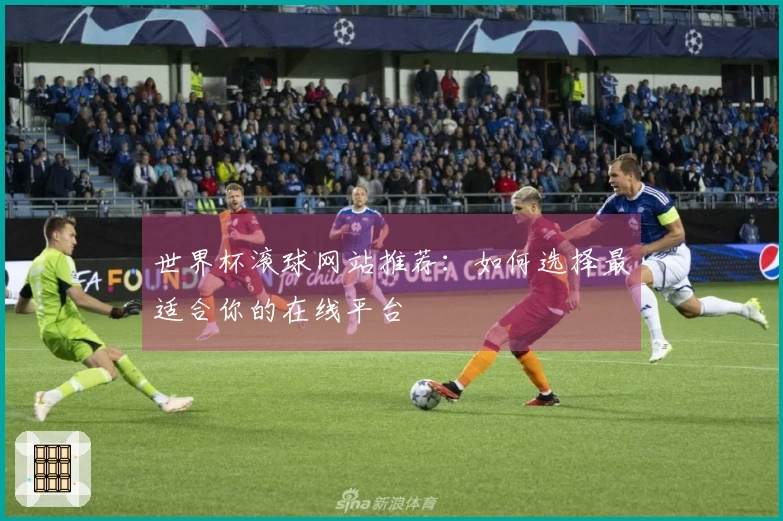 世界杯滚球网站推荐：如何选择最适合你的在线平台