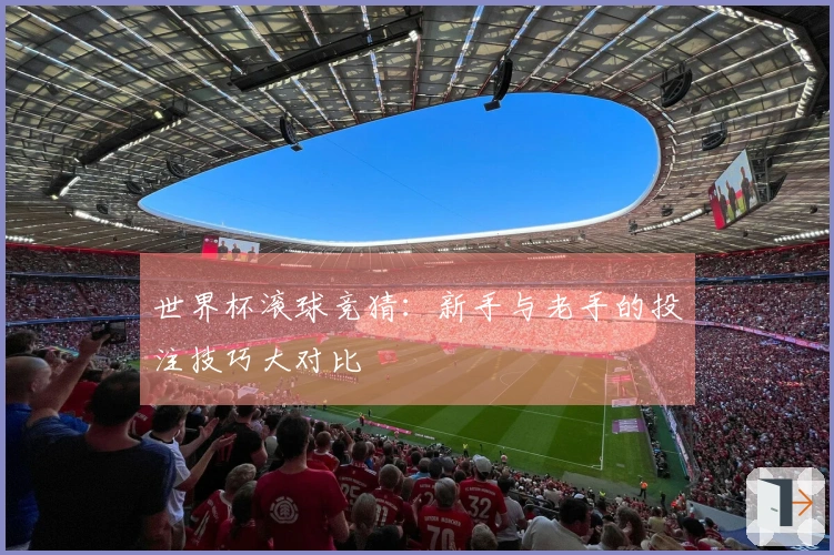 世界杯滚球竞猜：新手与老手的投注技巧大对比