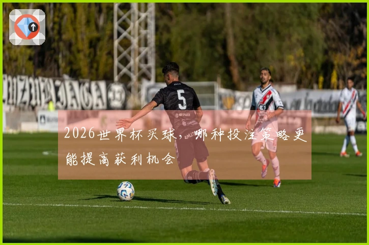 2026世界杯买球，哪种投注策略更能提高获利机会