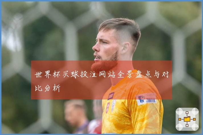 世界杯买球投注网站全景盘点与对比分析