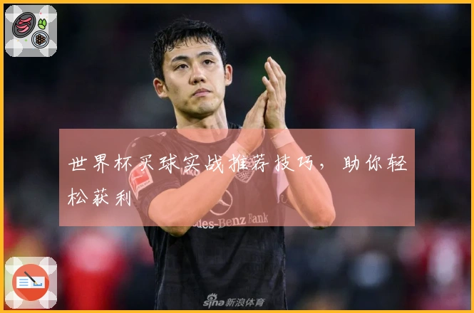 世界杯买球实战推荐技巧，助你轻松获利